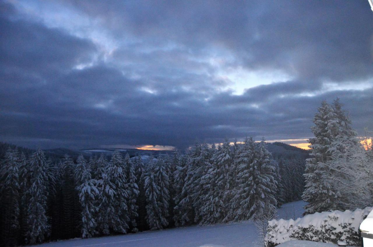 Berghotel Lenneplaetze Winterberg Exterior photo